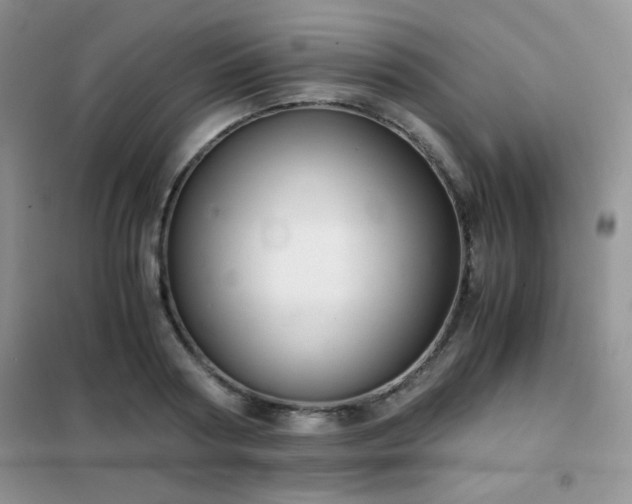 X0000102340794200808011139