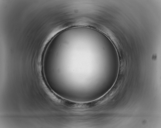 X0000102340795200808011139