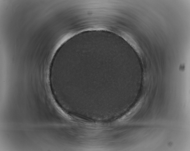 X0000102340797200808011139