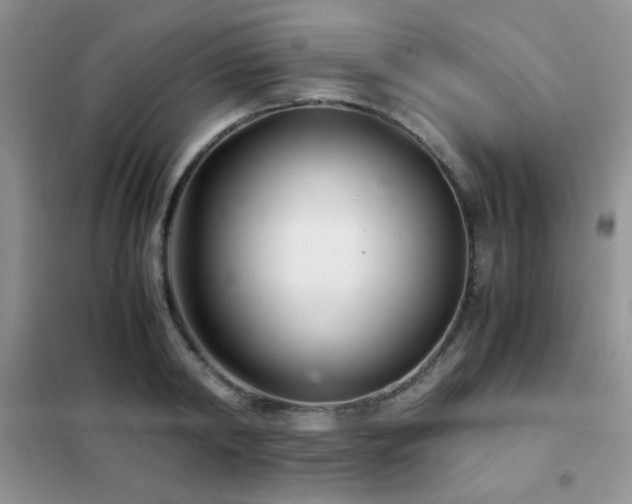 X0000102340798200808011139