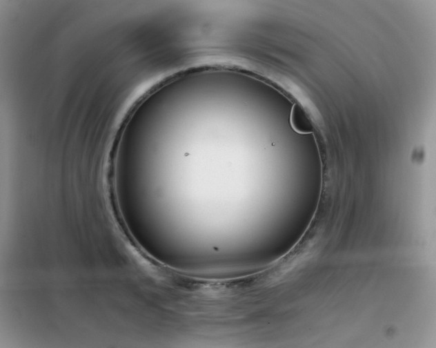 X0000102340799200808011139