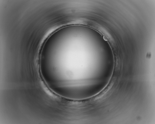 X0000102340800200808011139