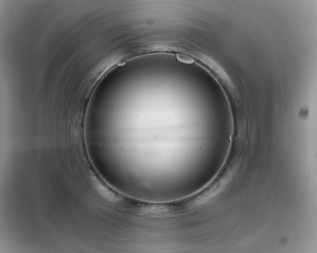 X0000102340801200808011139