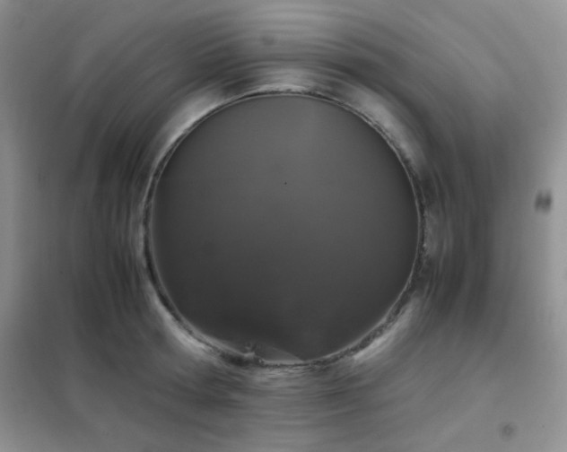 X0000102340802200808011139