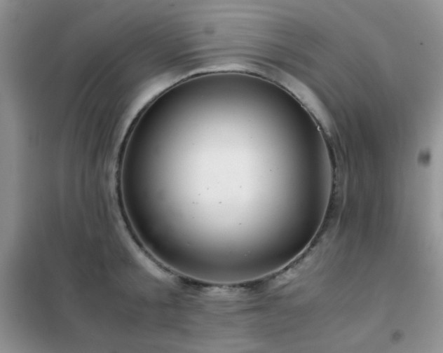 X0000102340805200808011139