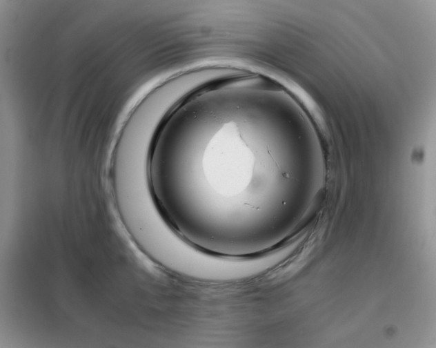 X0000102340807200808011139