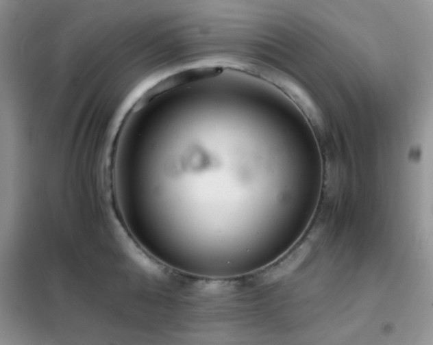 X0000102340808200808011139