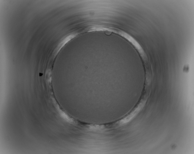 X0000102340809200808011139