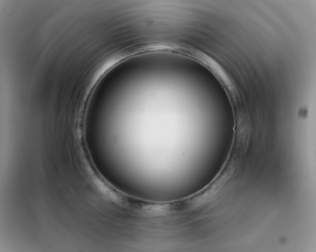 X0000102340810200808011139