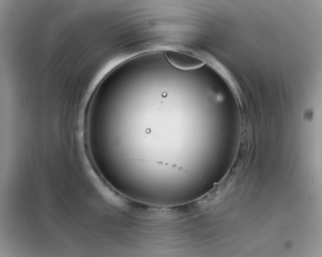 X0000102340811200808011139