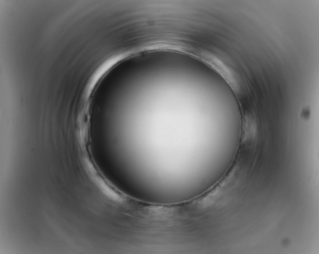 X0000102340812200808011139