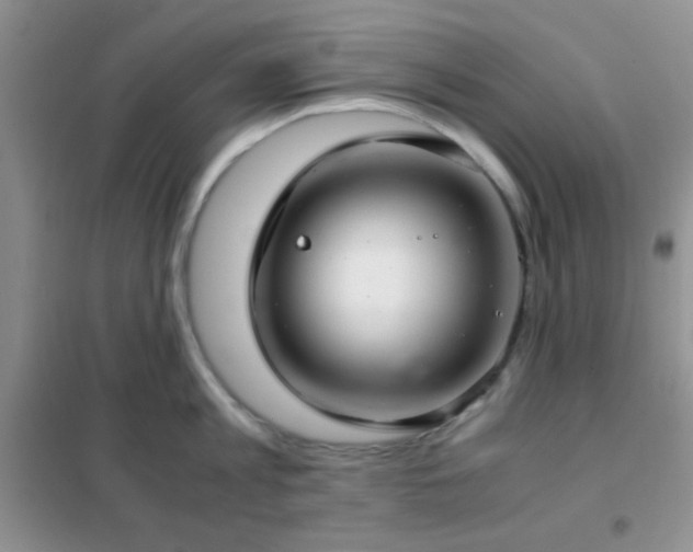 X0000102340813200808011139