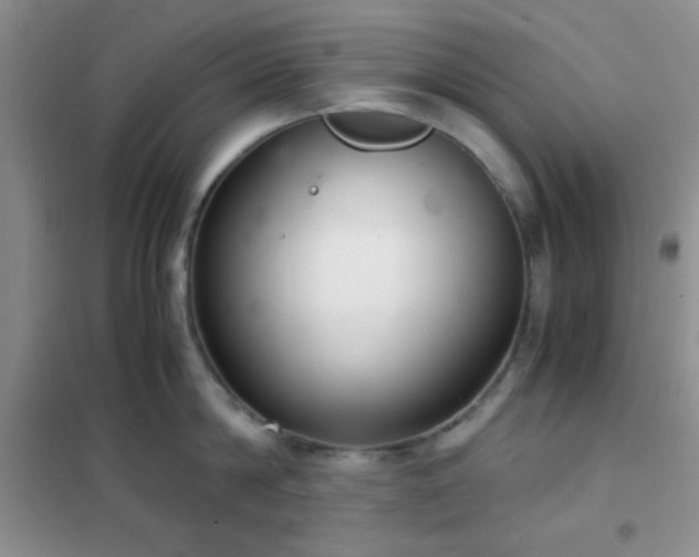 X0000102340814200808011139