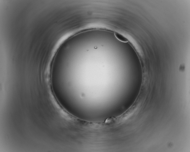 X0000102340815200808011139