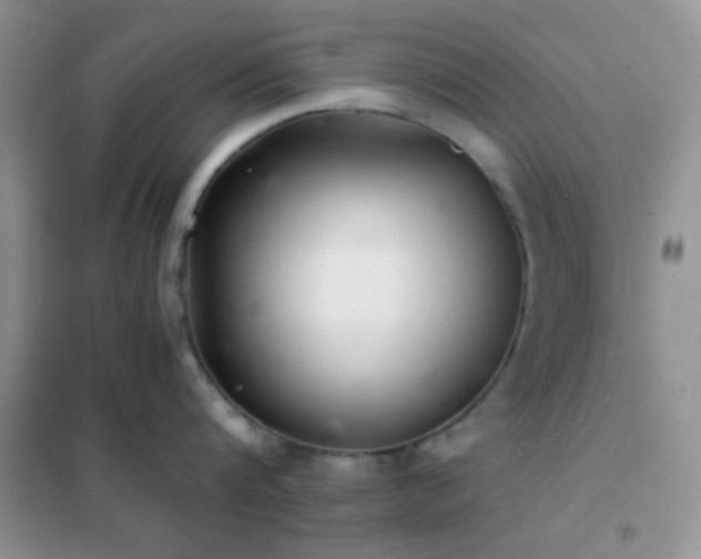 X0000102340816200808011139