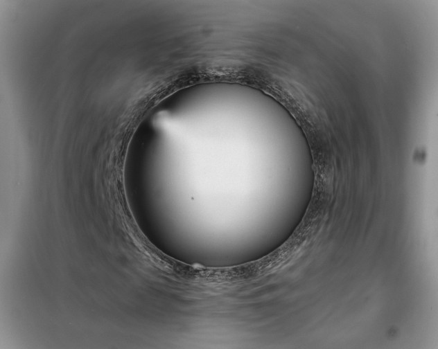 X0000102340817200808011138