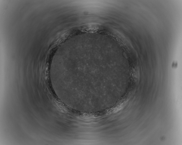 X0000102340818200808011138