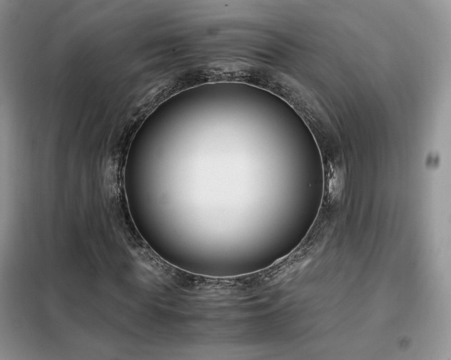 X0000102340819200808011138