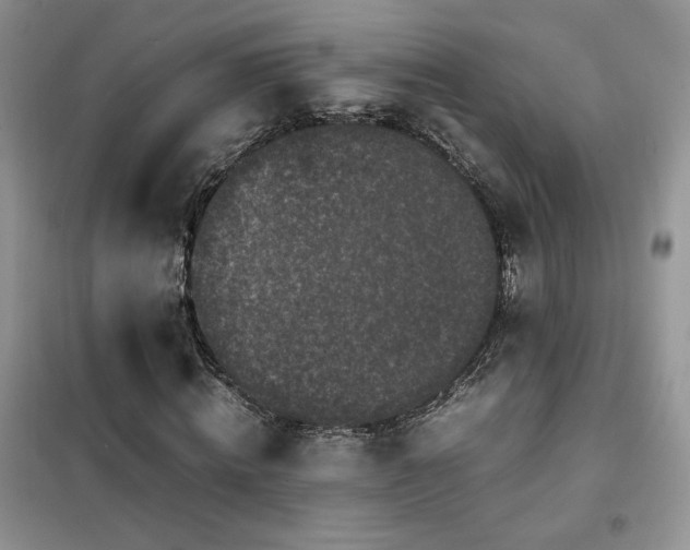 X0000102340820200808011138