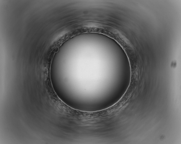 X0000102340821200808011138