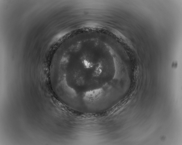 X0000102340822200808011138