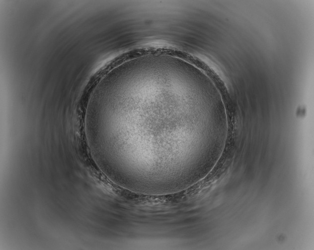 X0000102340823200808011138