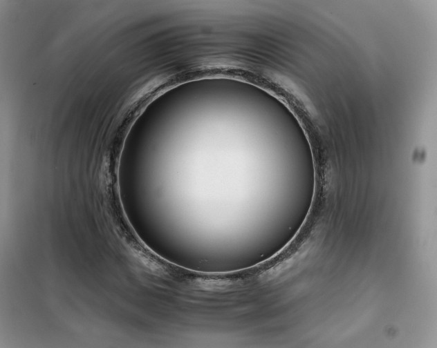 X0000102340825200808011139