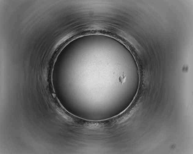 X0000102340826200808011139