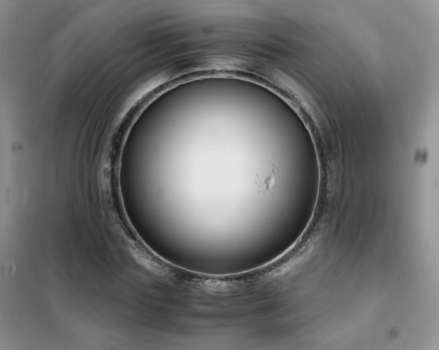 X0000102340827200808011139