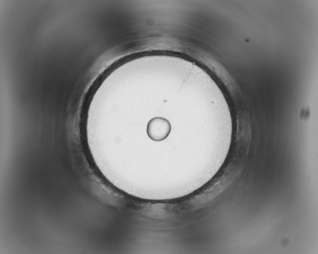 X0000102340828200808011139