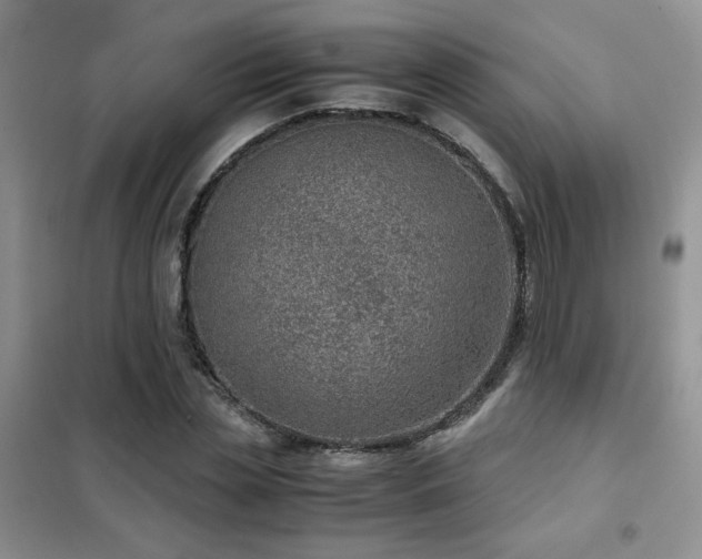 X0000102340829200808011139