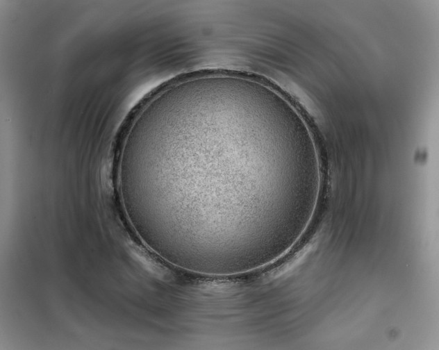 X0000102340830200808011139