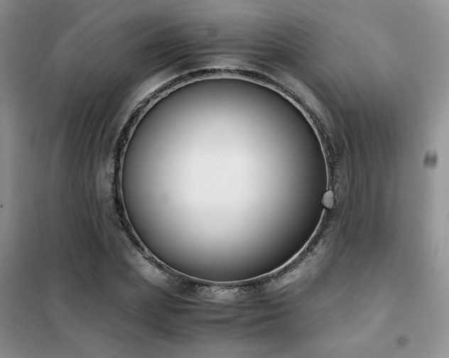 X0000102340831200808011139