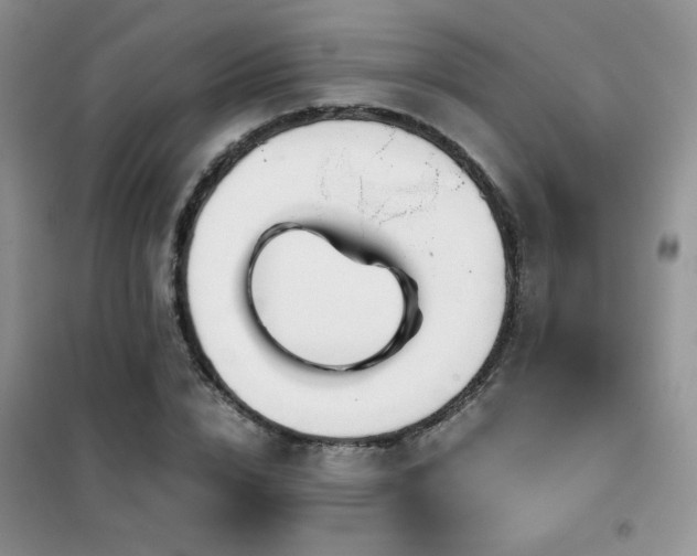 X0000102340832200808011139