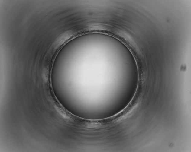 X0000102340833200808011139