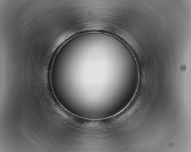 X0000102340834200808011139