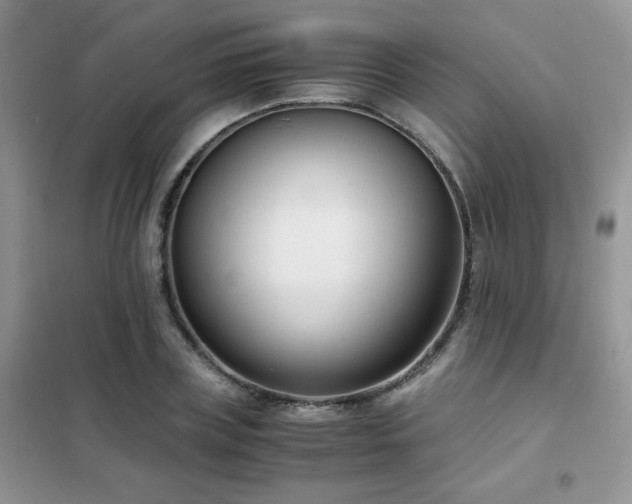 X0000102340835200808011139