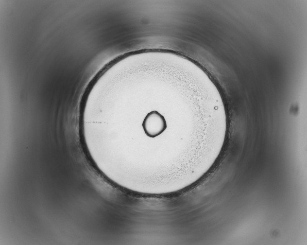 X0000102340836200808011139