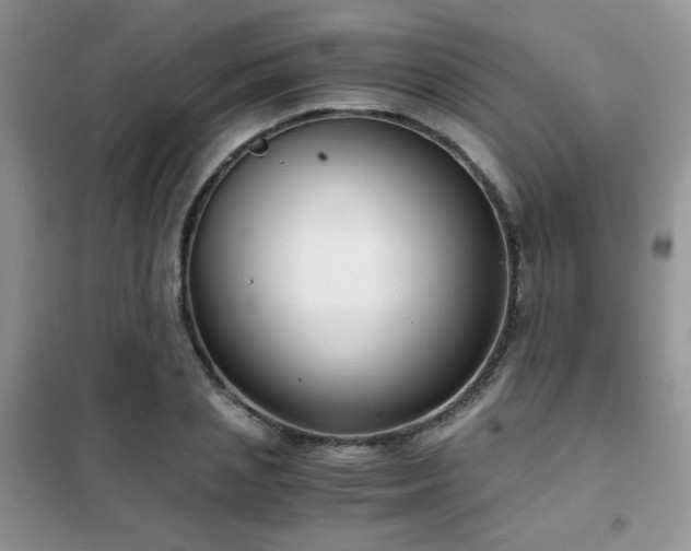 X0000102340837200808011139