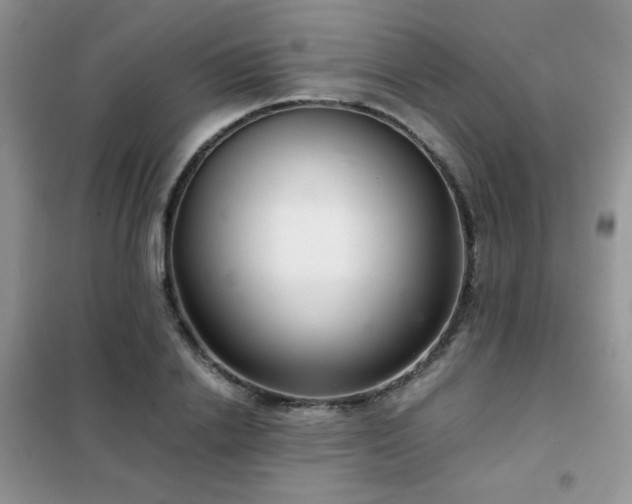 X0000102340838200808011139