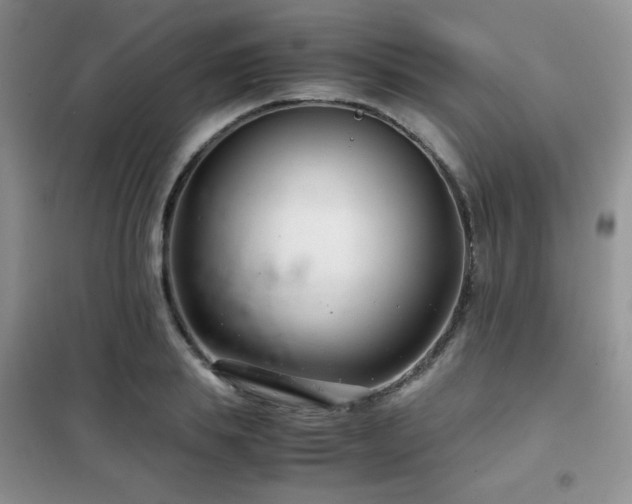 X0000102340839200808011139