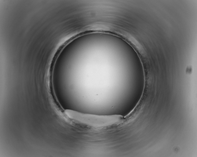 X0000102340840200808011139