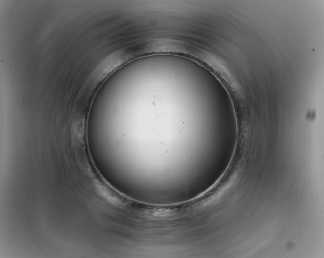 X0000102340841200808011139