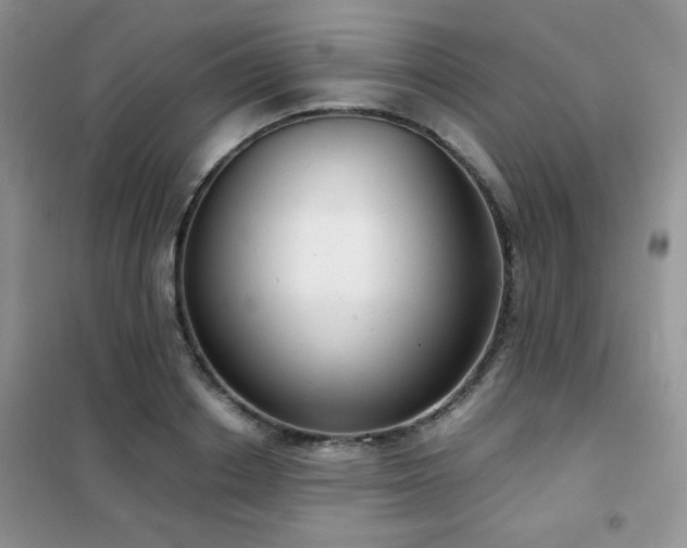 X0000102340842200808011139