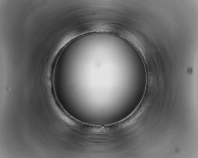 X0000102340843200808011139