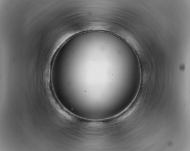 X0000102340844200808011139