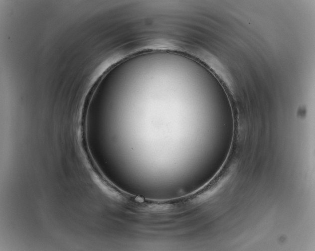 X0000102340845200808011139