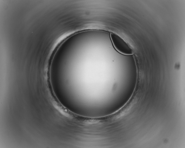 X0000102340846200808011139