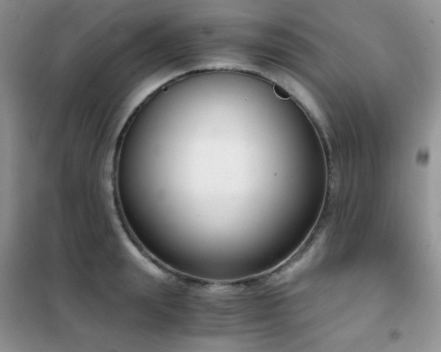 X0000102340847200808011139