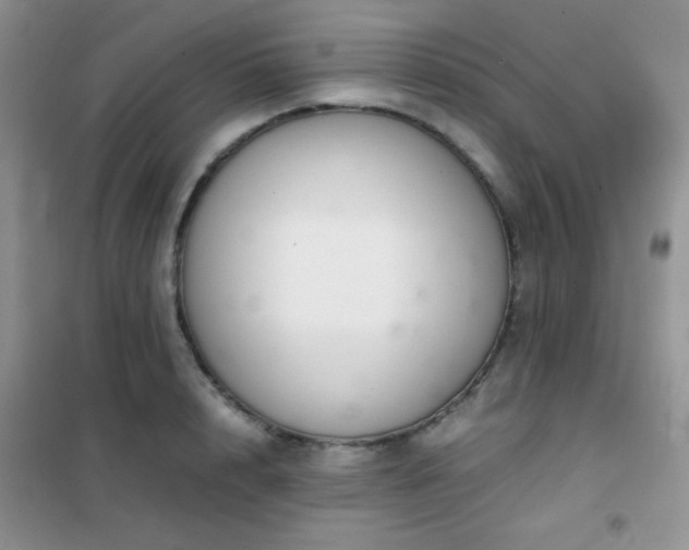 X0000102340848200808011139